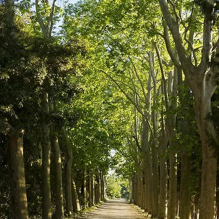 Chateau Pech-celeyran Salles-d'Aude