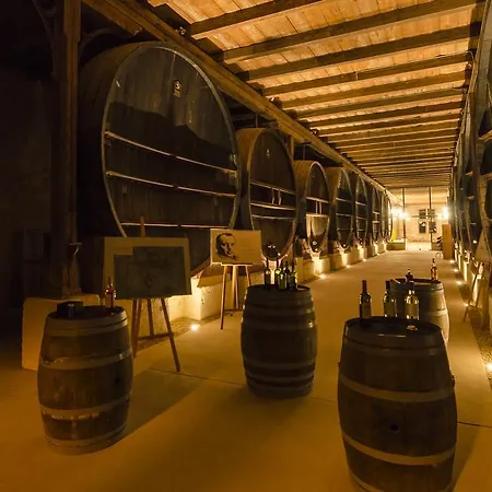 Hébergement de vacances Chateau Pech-céleyran *