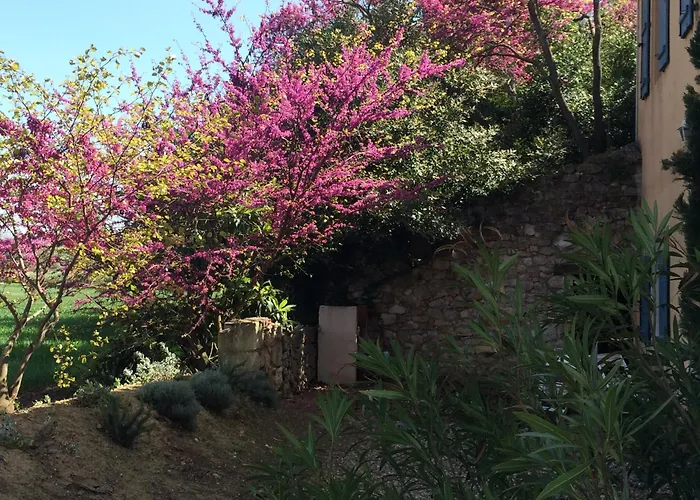 Casa vacanze Chateau Pech-céleyran Salles-dʼAude