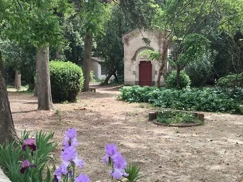 Feriehus Chateau Pech-celeyran Salles-dʼAude