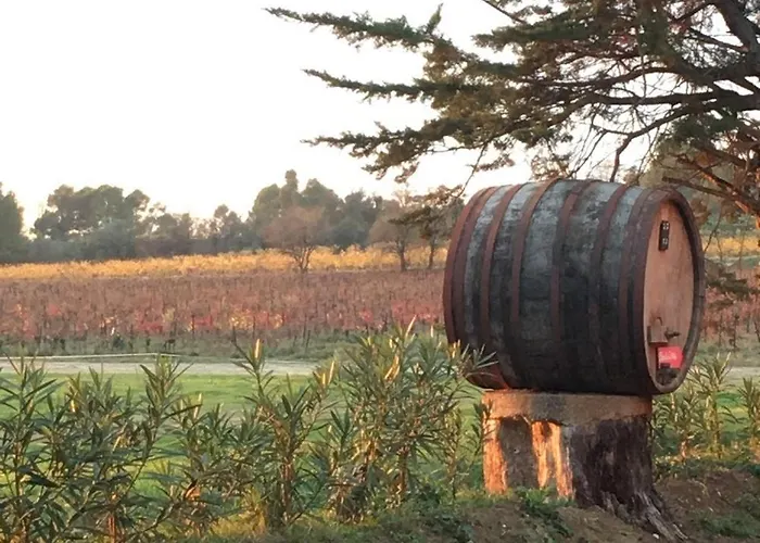 Chateau Pech-celeyran *